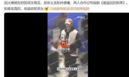 刘大锤爆料今日视频,揭秘今日热门视频背后的惊人真相！